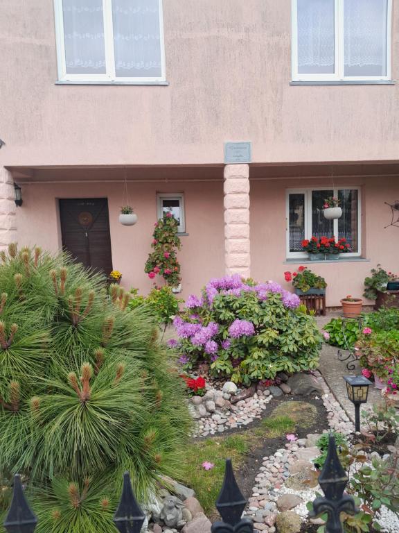 Kambarių nuoma pas Aleksandrą