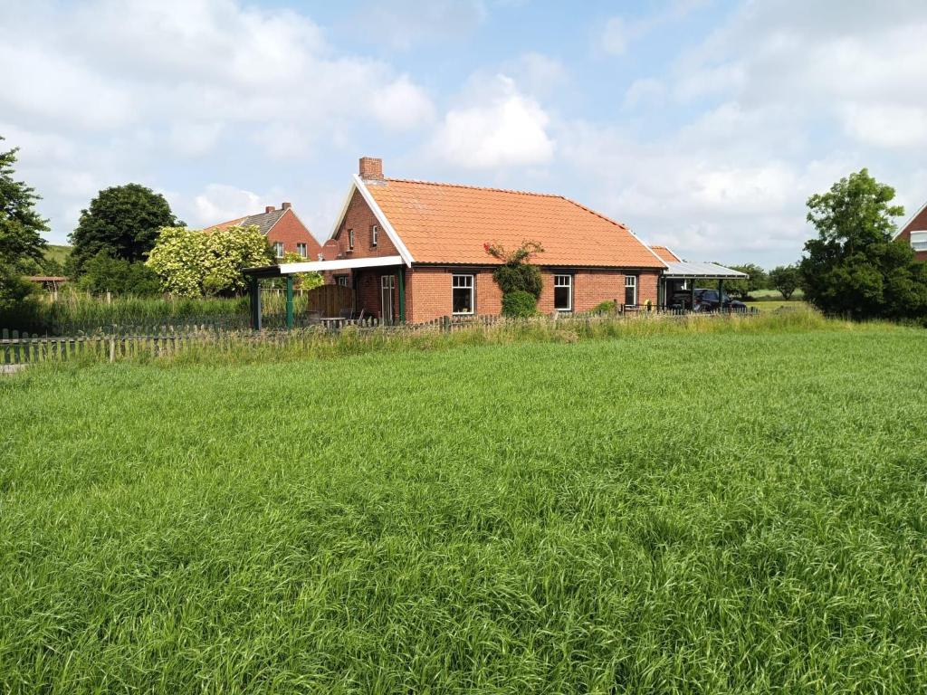 a house in a field with a green field at Huus van Dykster 45262 in Dyksterhusen