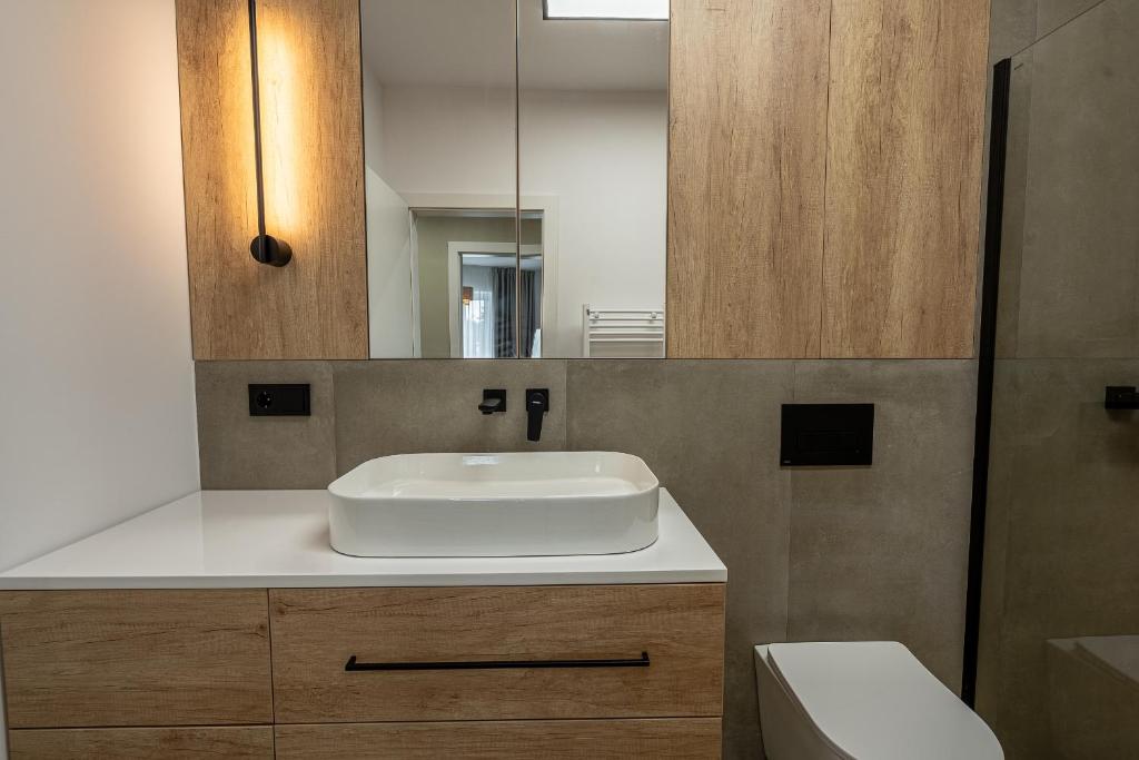 a bathroom with a sink and a mirror at Vidalis Suites in Cluj-Napoca