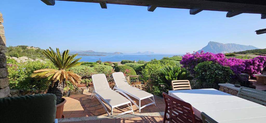 Φωτογραφία από το άλμπουμ του RESIDENZE CODA CAVALLO - Domos de Rocca σε Punta Molara