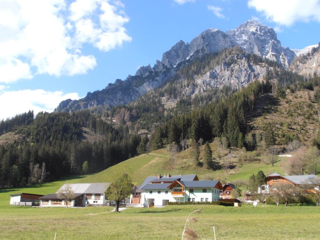 a group of houses in a field in front of a mountain at Huberbauer in Johnsbach
