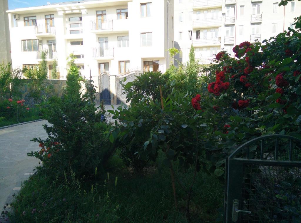 Zahrada ubytování Hotel Mimino