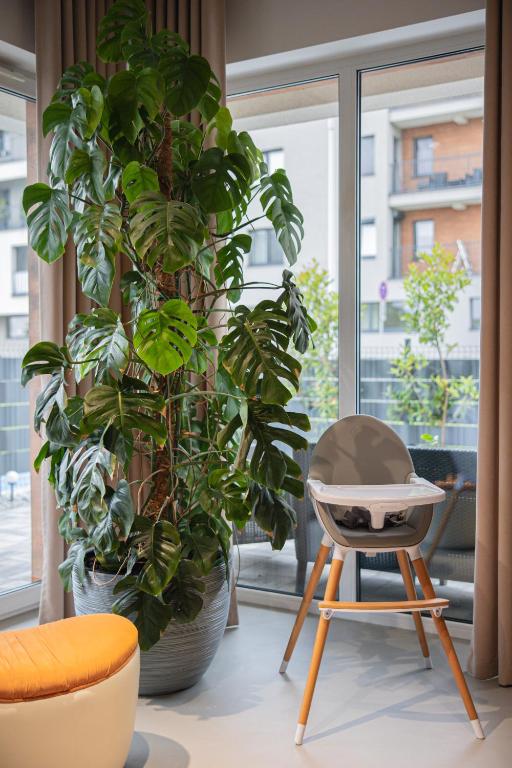 Premium Apartment Eleven - 9