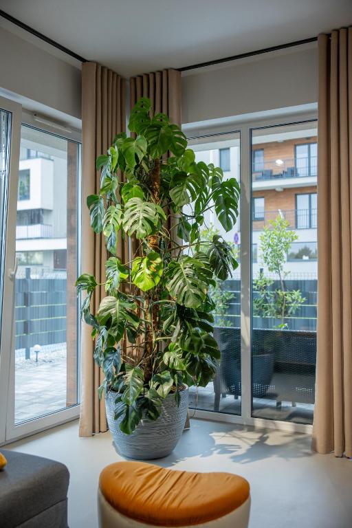 Premium Apartment Eleven - 11