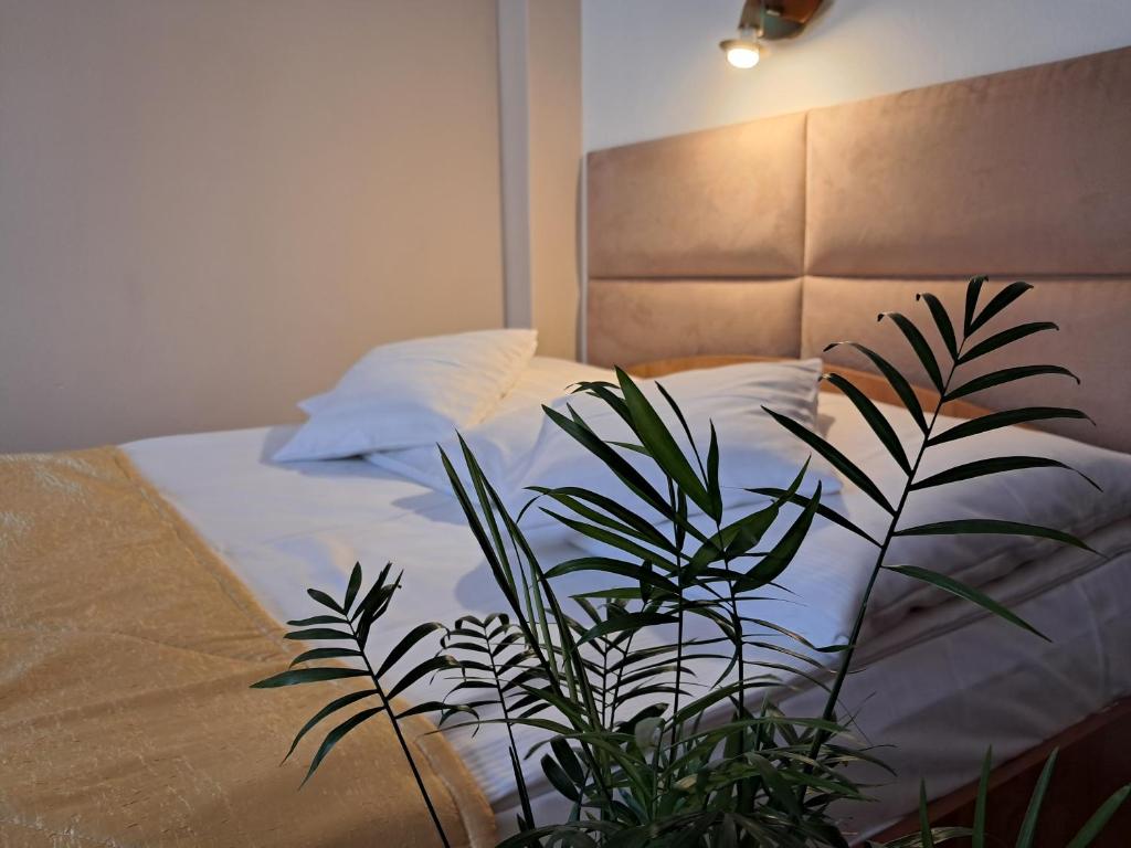 Postel nebo postele na pokoji v ubytování Willa Lenka