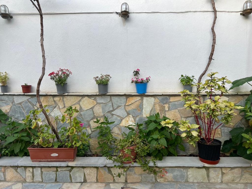 Zahrada ubytování Luigi Guest House