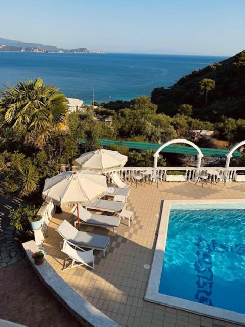 Dolphin Apartments - 9