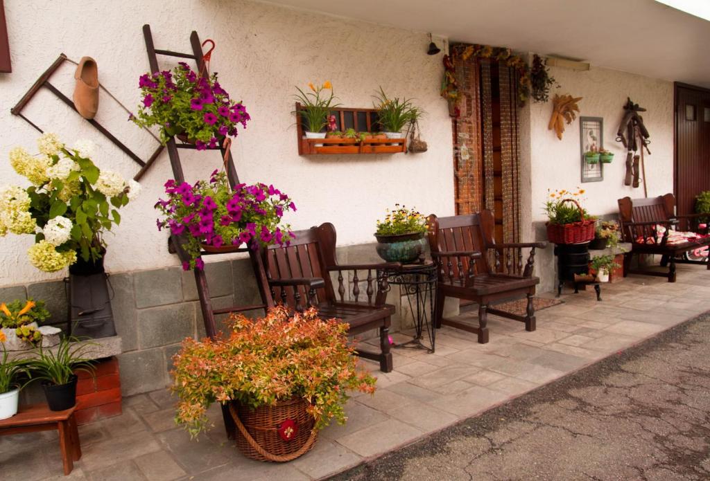 un grupo de sillas y macetas en un patio en B&B La Gerbolina, en San Giusto Canavese