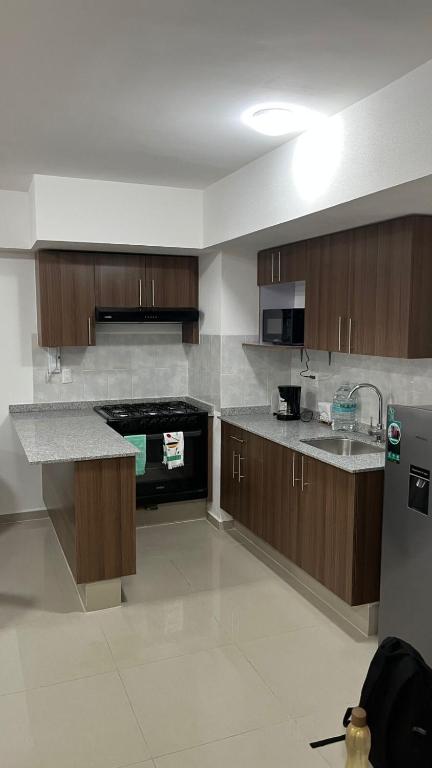 a large kitchen with wooden cabinets and a sink at Departamento en Residencial in Mexico City