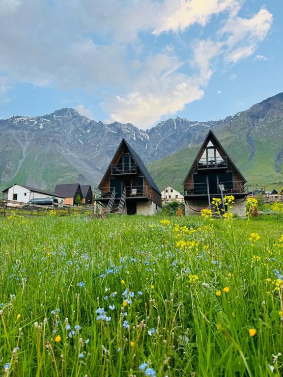 a field of flowers in front of a house at Kazbegi Harmony Cottages in Kazbegi