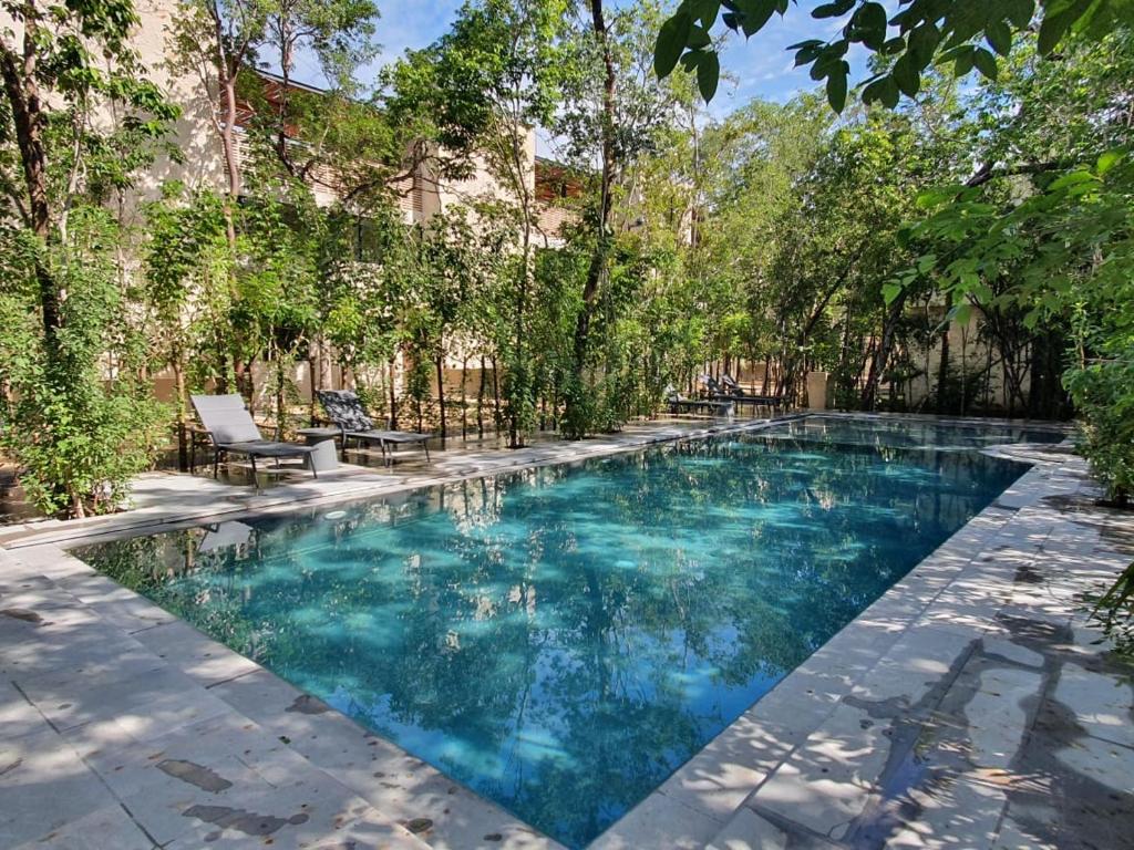 a swimming pool with blue water and trees at Villa with a private pool in Tulum