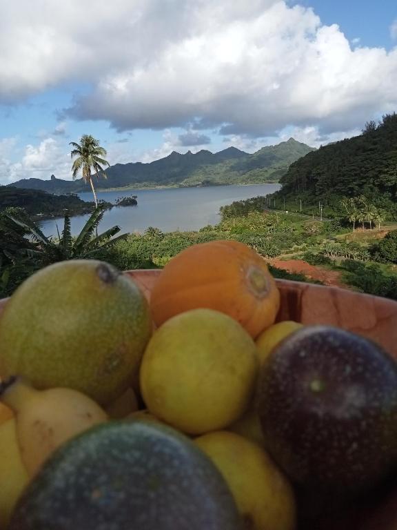 Bungalow Belle Vue - photo 4 - Huahine, Polynésie