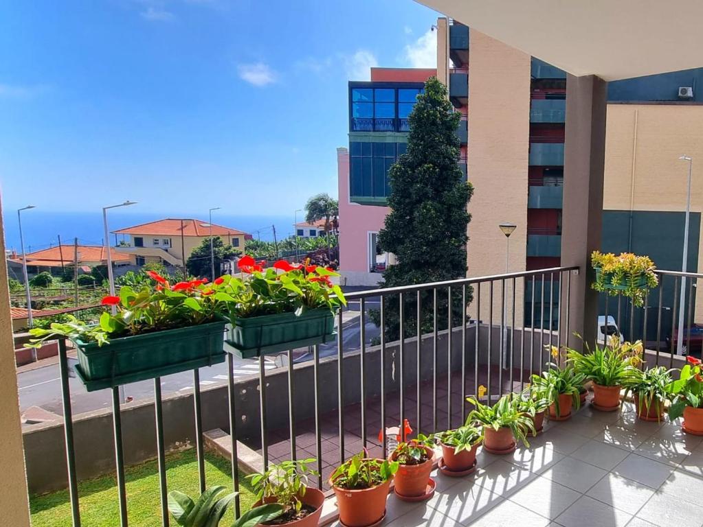 Μπαλκόνι ή βεράντα στο Funchal Getaway, Cozy Private Room with WiFi and Ensuite Bathroom