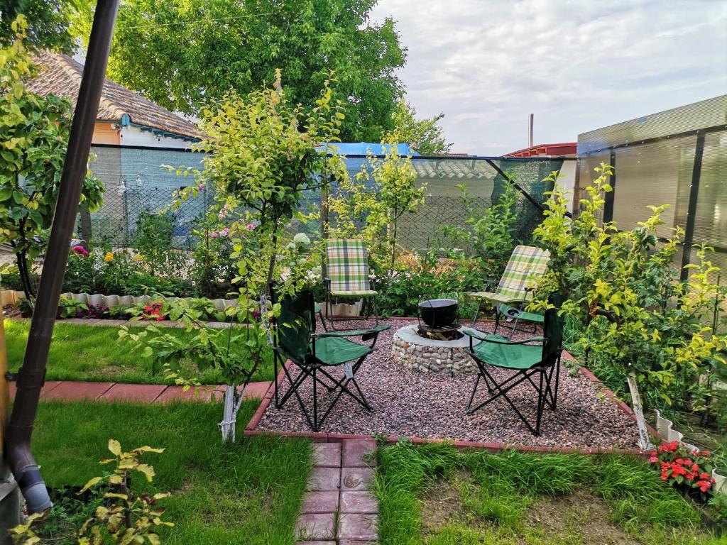 einen Garten mit Stühlen, einem Tisch und einem Grill in der Unterkunft Căsuța din grădină in 2 Mai