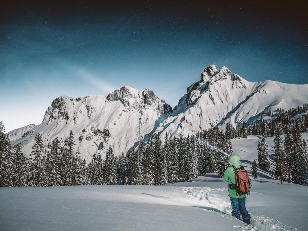 a person standing in the snow in front of a mountain at Huberbauer in Johnsbach
