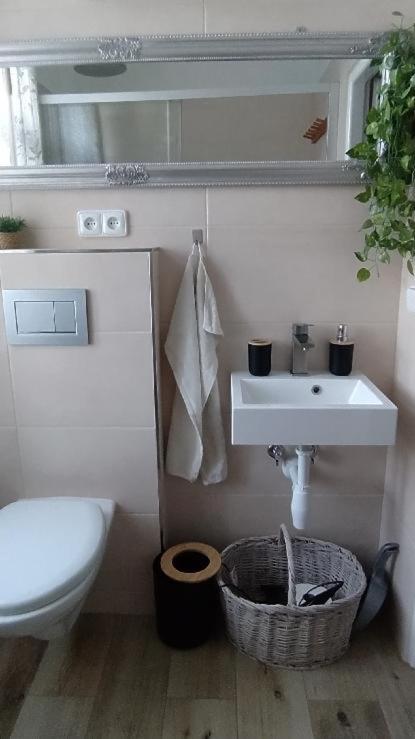 Koupelna v ubytování Ubytování Na Kovárně