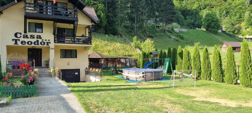 budynek z ogrodem przed nim w obiekcie Casa Teodor Rucăr Casă de oaspeți w mieście Rucăr