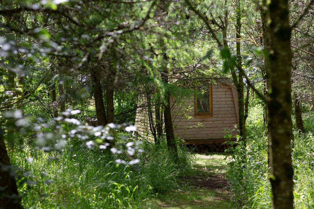 Φυσικό τοπίο κοντά σε αυτό το κάμπινγκ
