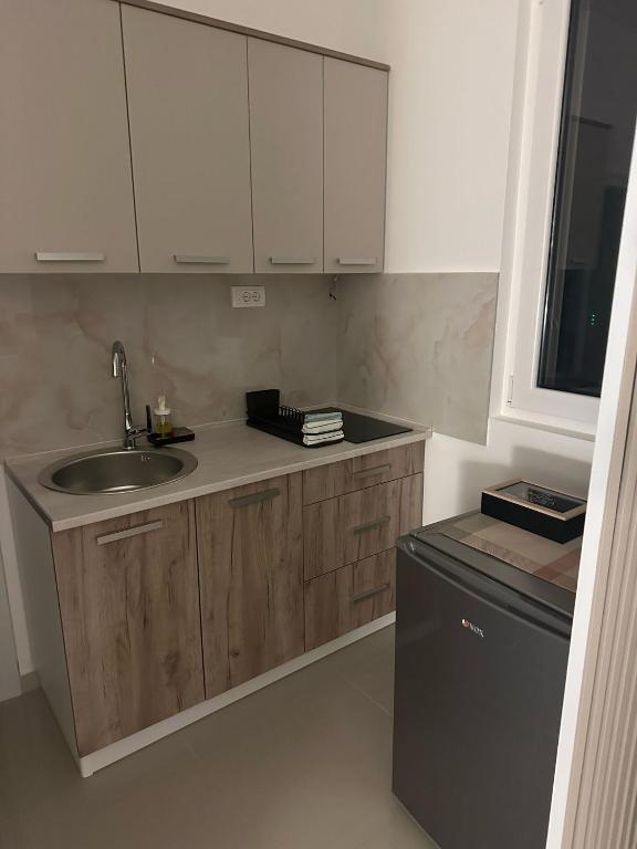 Kuchyň nebo kuchyňský kout v ubytování Apt 6- Sokobanjica apartmani
