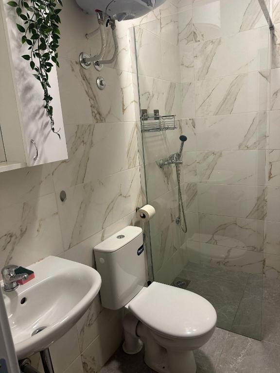Koupelna v ubytování Apt 6- Sokobanjica apartmani
