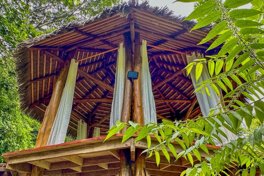Zahrada ubytování Finca Terra Incognita - Wood cabins in the jungle