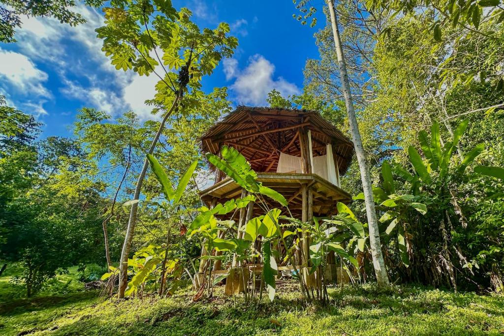 Zahrada ubytování Finca Terra Incognita - Wood cabins in the jungle