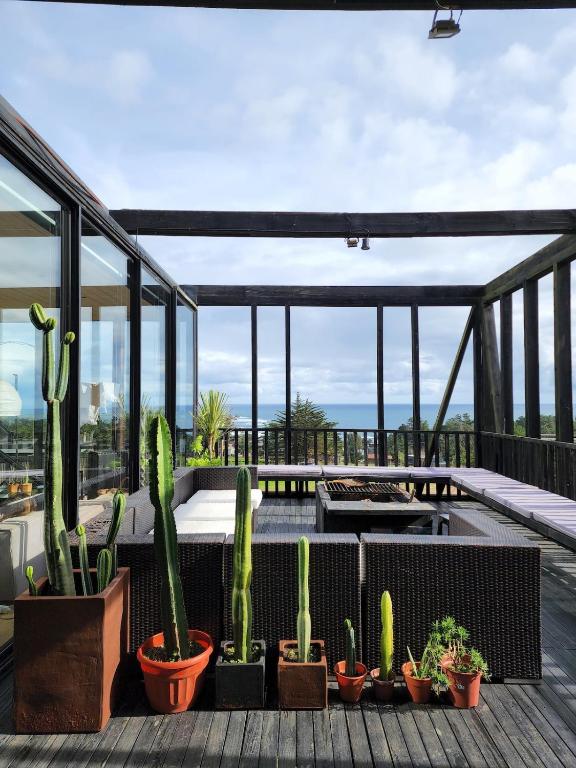 a patio with cactuses and plants on a deck at Punta de Lobos Black House in Pichilemu