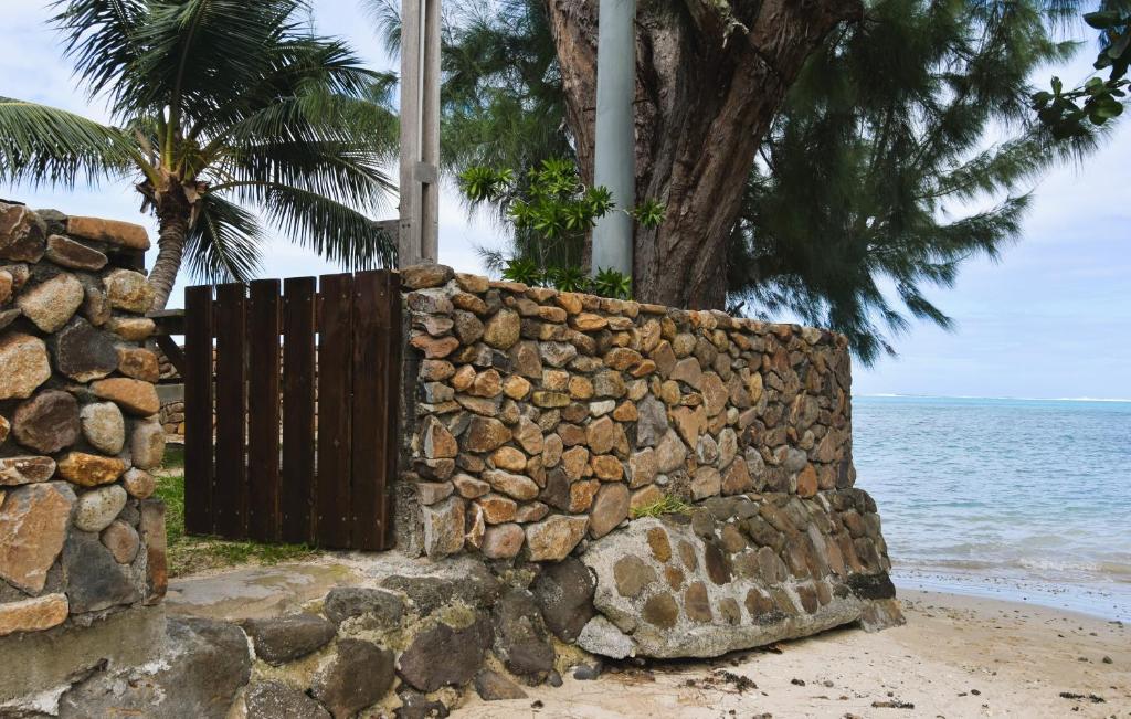 Fare Aute Beach - photo 8 - Moorea, Polynésie