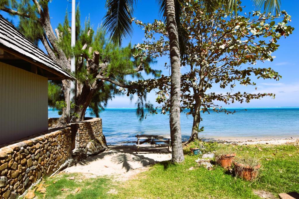 Fare Aute Beach - photo 12 - Moorea, Polynésie