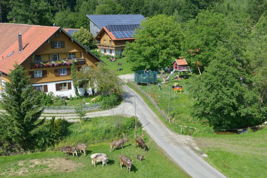 un grupo de vacas pastando en la hierba junto a una carretera en Tannenhof Epple, en Opfenbach