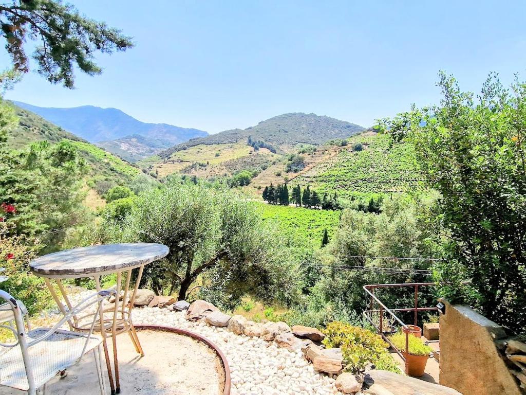 d'une terrasse avec vue sur la vallée et les montagnes. dans l'établissement Maison F2 indépendante avec terrasse, climatisation et WIFI à Banyuls-sur-Mer - FR-1-309-262, à Banyuls-sur-Mer