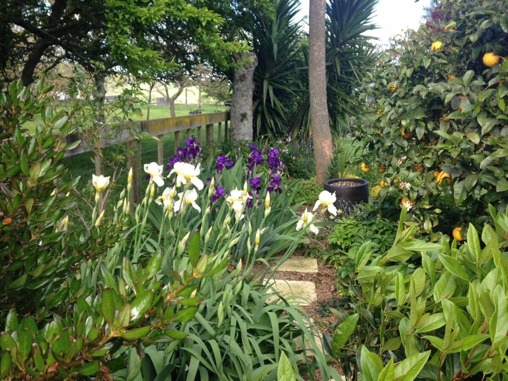 6 bedrooms, Close to rowing, Velodrome, field days - Resim 14