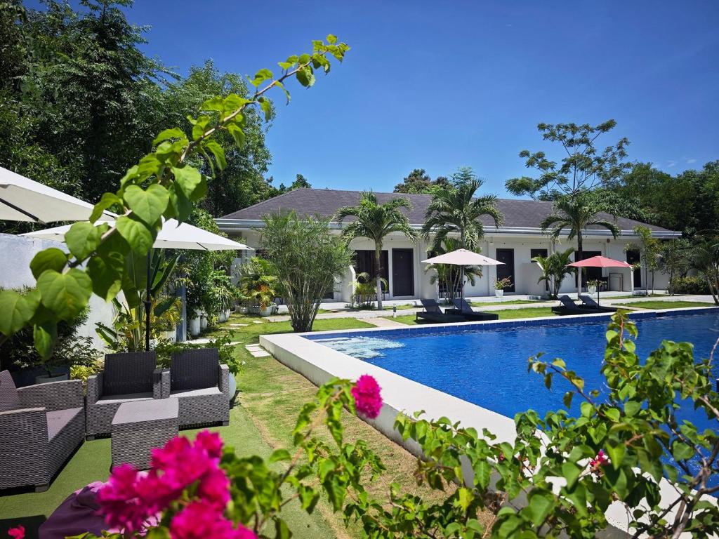 Bazén v ubytování OHANA, Panglao Resort. nebo v jeho okolí