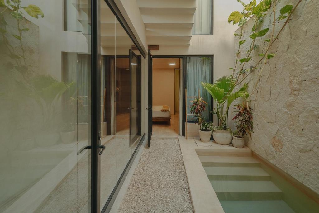 Φωτογραφία από το άλμπουμ του Unforgetable outing with private pool σε Tulum