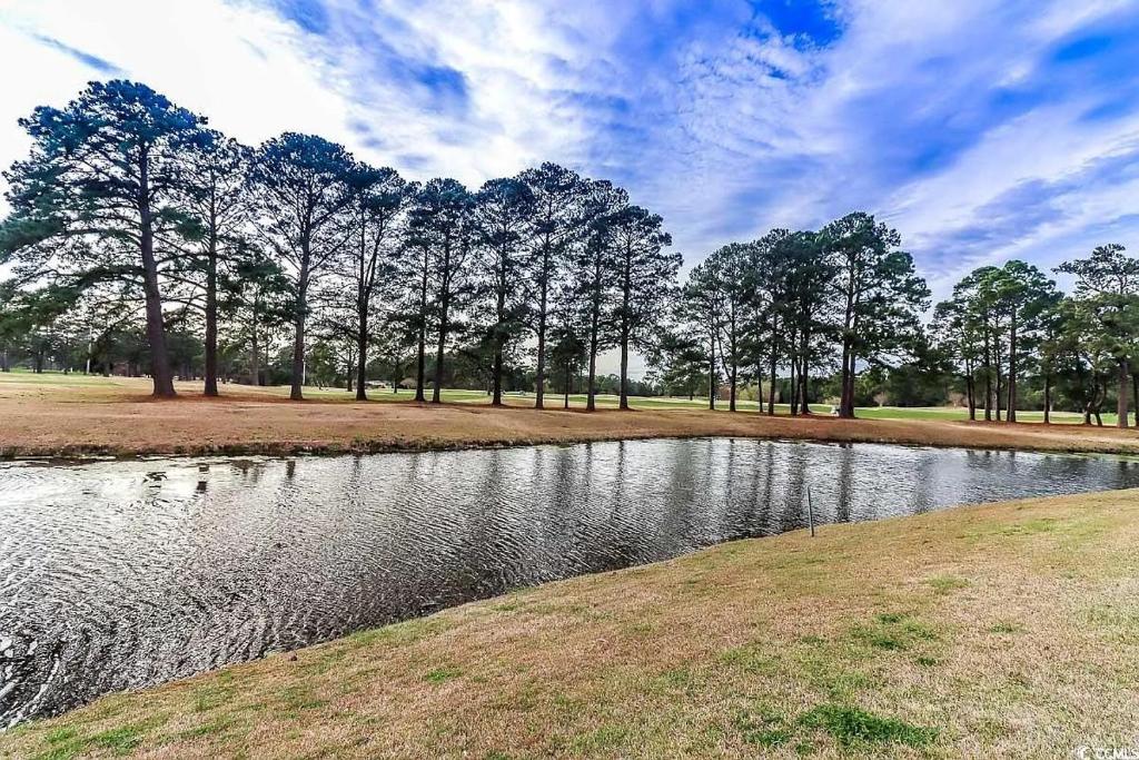einen Teich auf einem Feld mit Bäumen im Hintergrund in der Unterkunft Beautiful 1500 s f 3 Bd - 2 Ba condo overlooking stream and golf course in Myrtle Beach