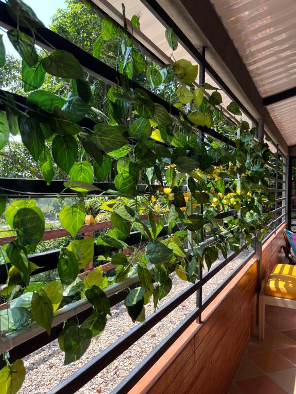 Cabañas El Rancho de Nacho