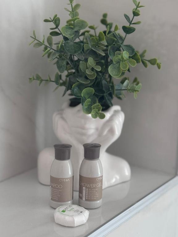 two bottles of soap and a vase with a plant at Apartment in Ploiești 4 in Ploieşti