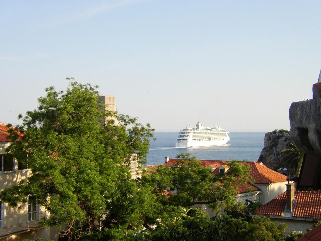 Příroda nedaleko apartmánu