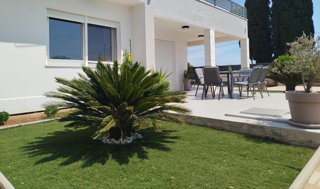a palm tree in the yard of a house at FAMILY VILLA WITH POOL-Peaceful Hvar Island Oasis in Bogomolje