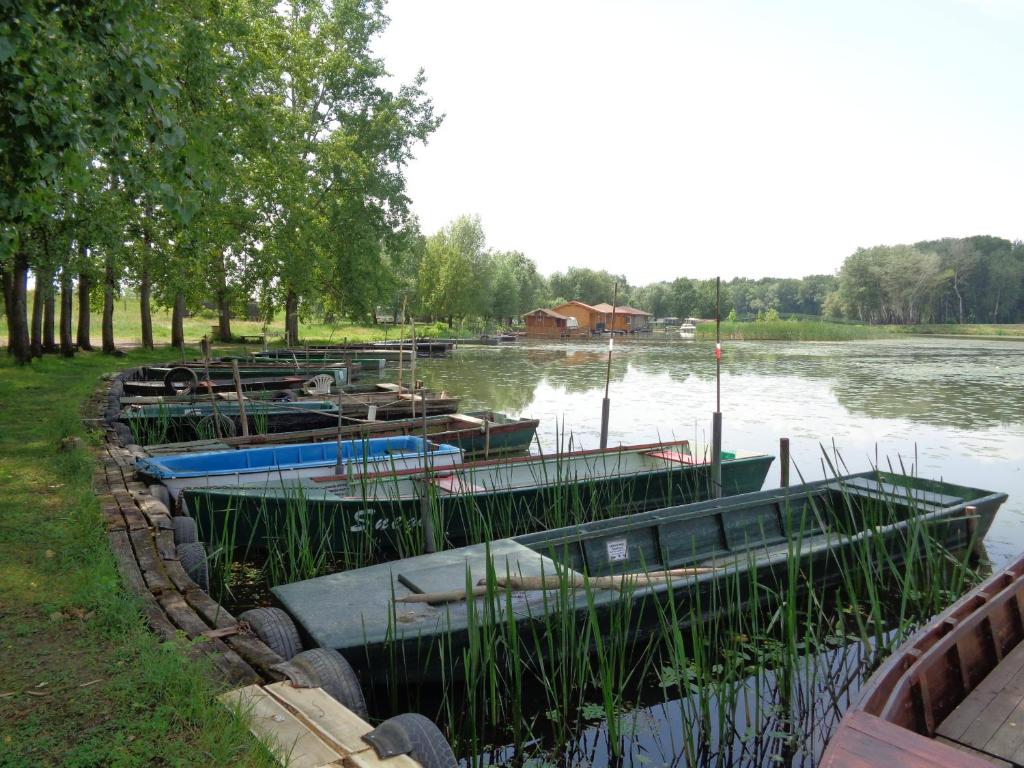 Widok na rzekę nieopodal tego pensjonatu