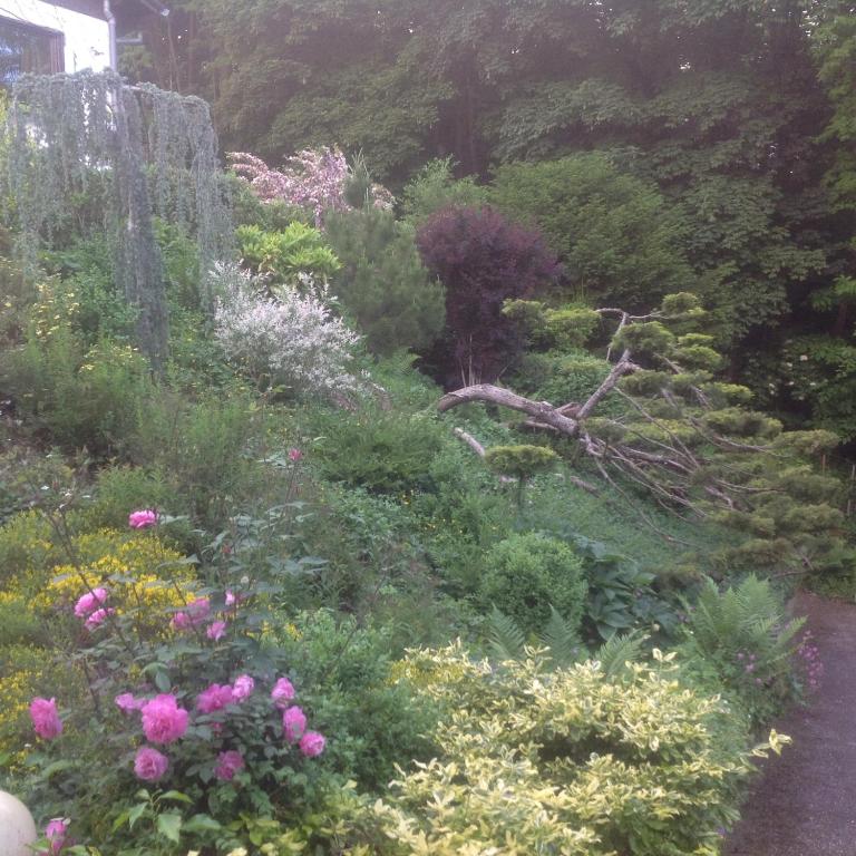 Birgele – photo 15
