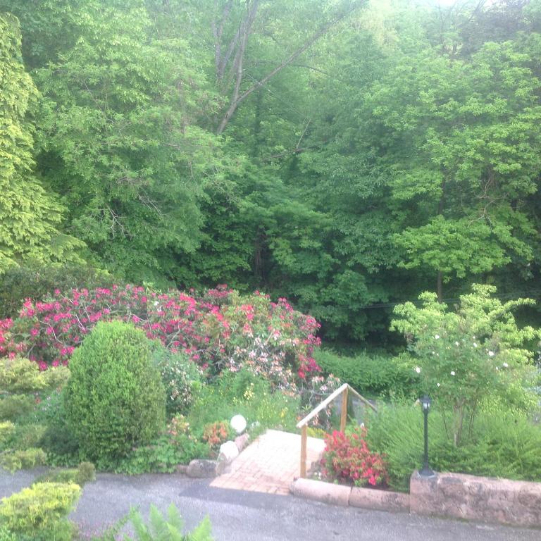 Birgele – photo 14
