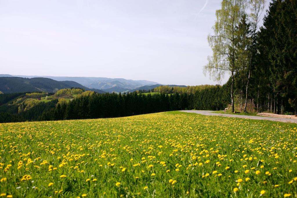 Příroda nedaleko apartmánu