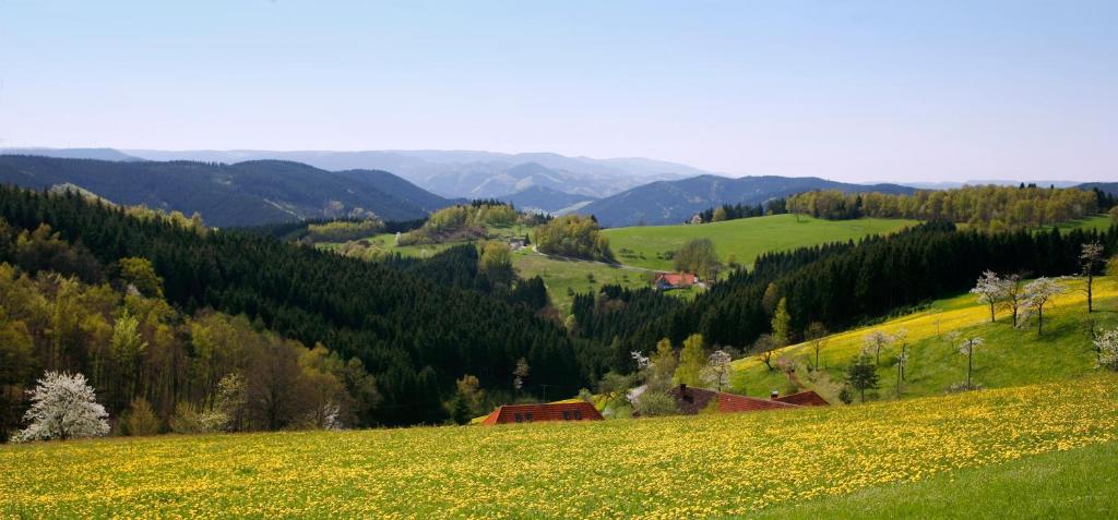 Příroda nedaleko apartmánu