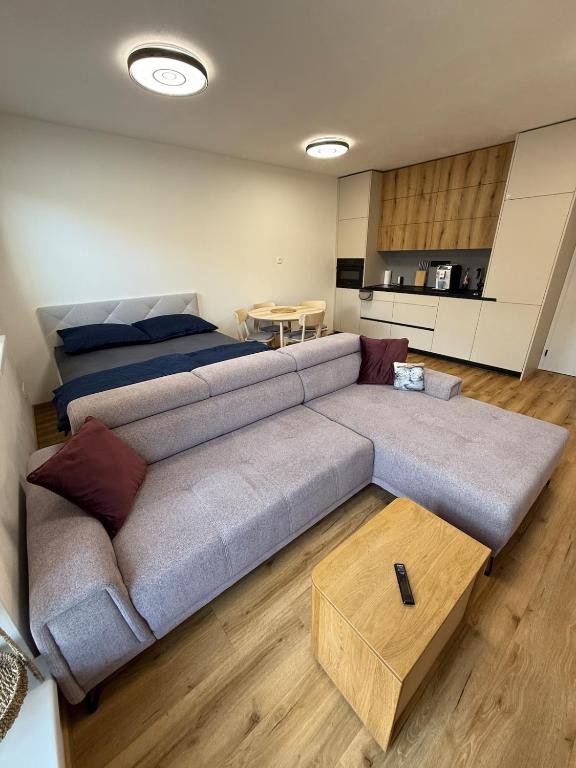 a living room with a couch and a table at Visteria 10 in České Budějovice