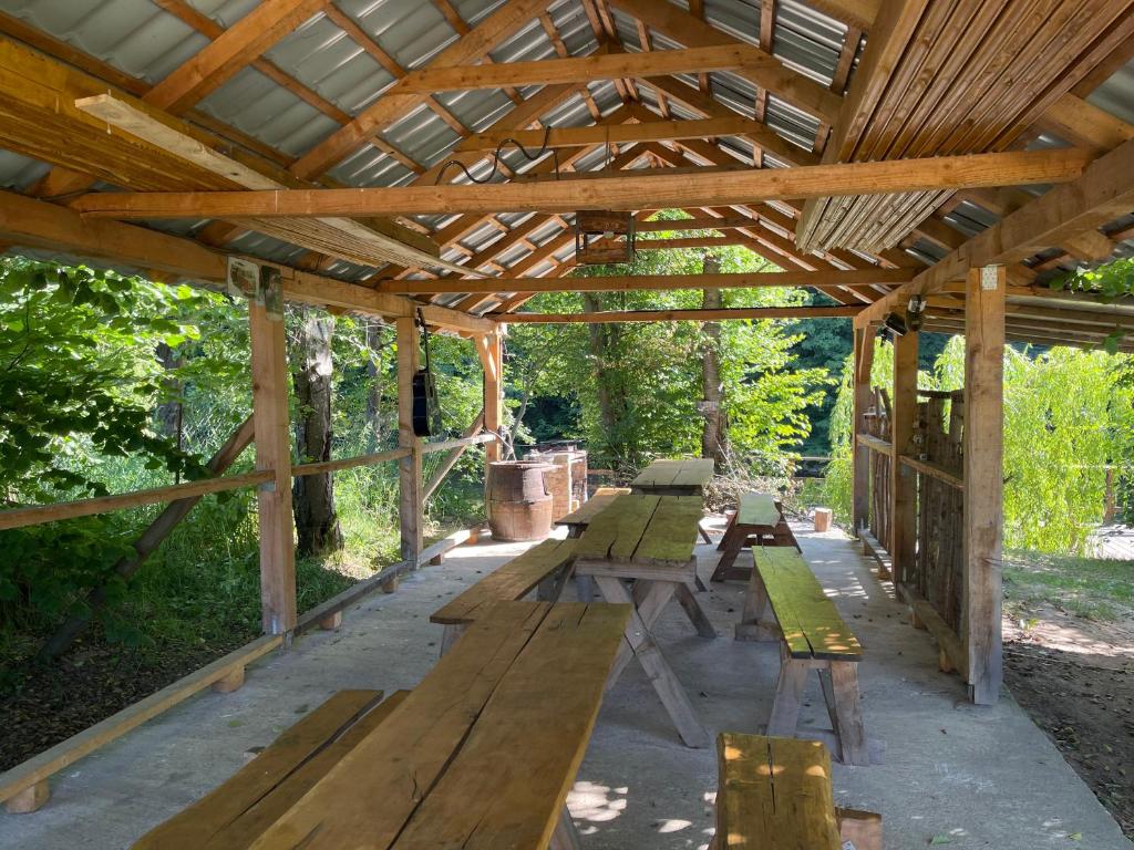 Zahrada ubytování Campingul Apusenilor