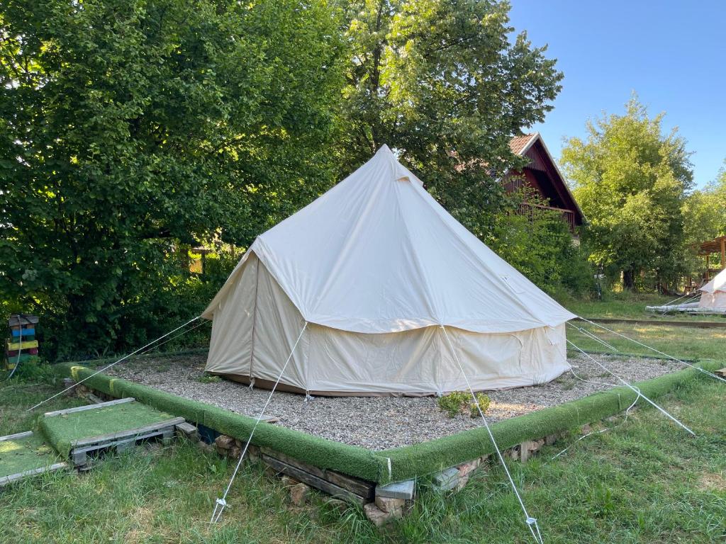 Zahrada ubytování Campingul Apusenilor