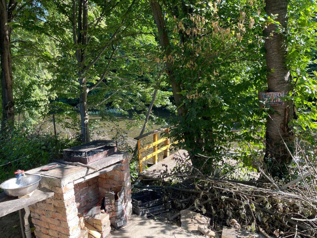 Zahrada ubytování Campingul Apusenilor