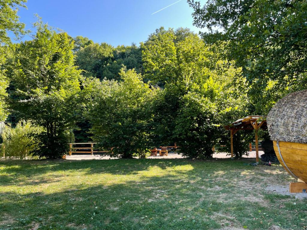 Zahrada ubytování Campingul Apusenilor