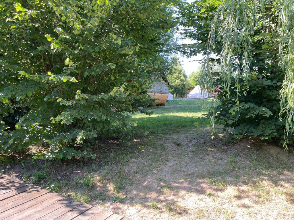 Zahrada ubytování Campingul Apusenilor